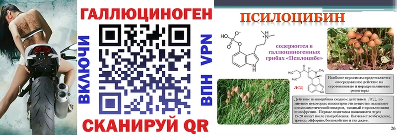 Галлюциногенные грибы прущие грибы  Баймак 